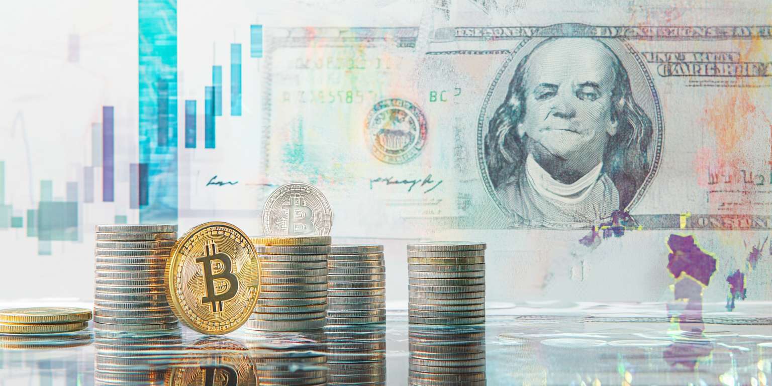 Descubre los Secretos de Profitium Vista: ¿Es Confiable?